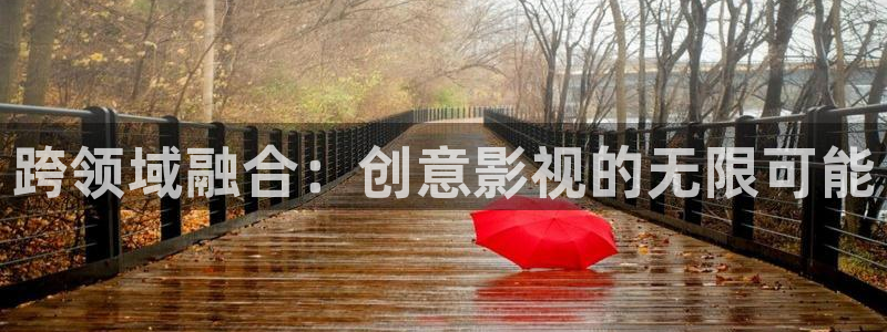 骑士影院在线观看免费高清电视剧极速：跨领域融合：创意影视的无限可能