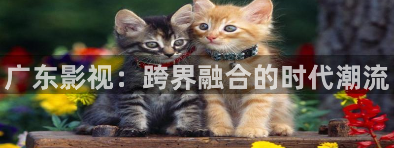 极速影院免费高清电影：广东影视：跨界融合的时代潮流