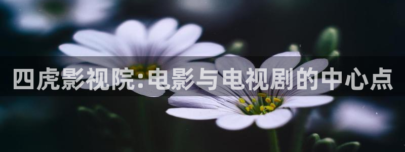 手机极速影院：四虎影视院:电影与电视剧的中心点