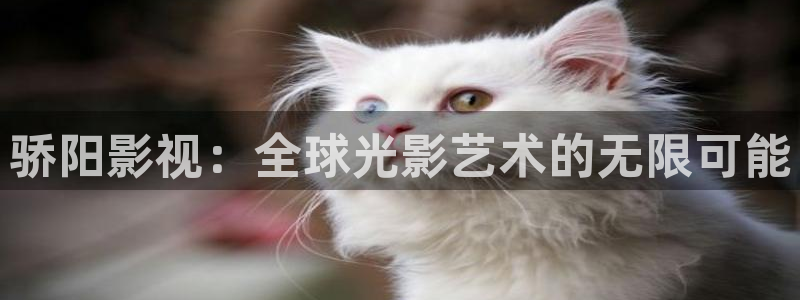 万能影视极速版：骄阳影视：全球光影艺术的无限可能