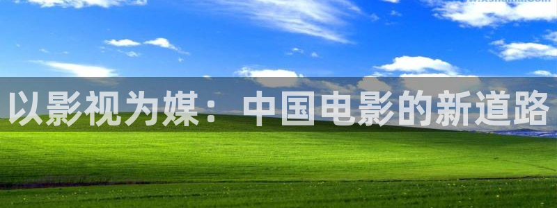 一级片极速影院：以影视为媒：中国电影的新道路
