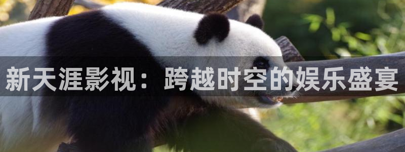 极速电影院在线观看：新天涯影视：跨越时空的娱乐盛宴