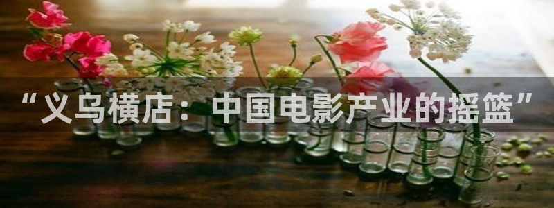 极速影院官网：“义乌横店：中国电影产业的摇篮”