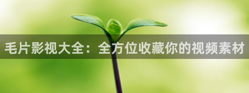 飞极速在线影院：毛片影视大全：全方位收藏你的视频素材
