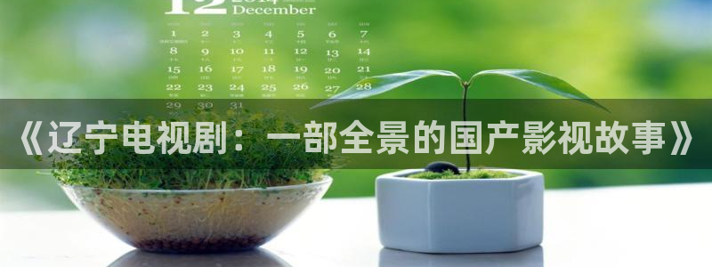极速云影院：《辽宁电视剧：一部全景的国产影视故事》