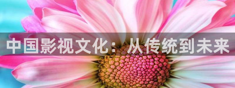 影视工厂极速蓝光：中国影视文化：从传统到未来