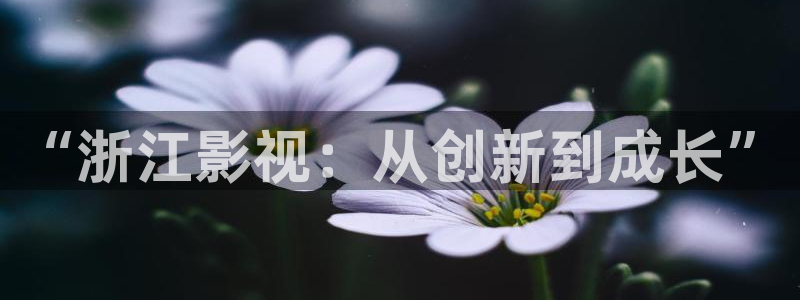 一级片极速影院：“浙江影视：从创新到成长”